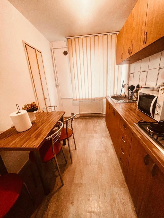 Ultracentral Big Apartment - Near The Opera Square P17 티미쇼아라 외부 사진