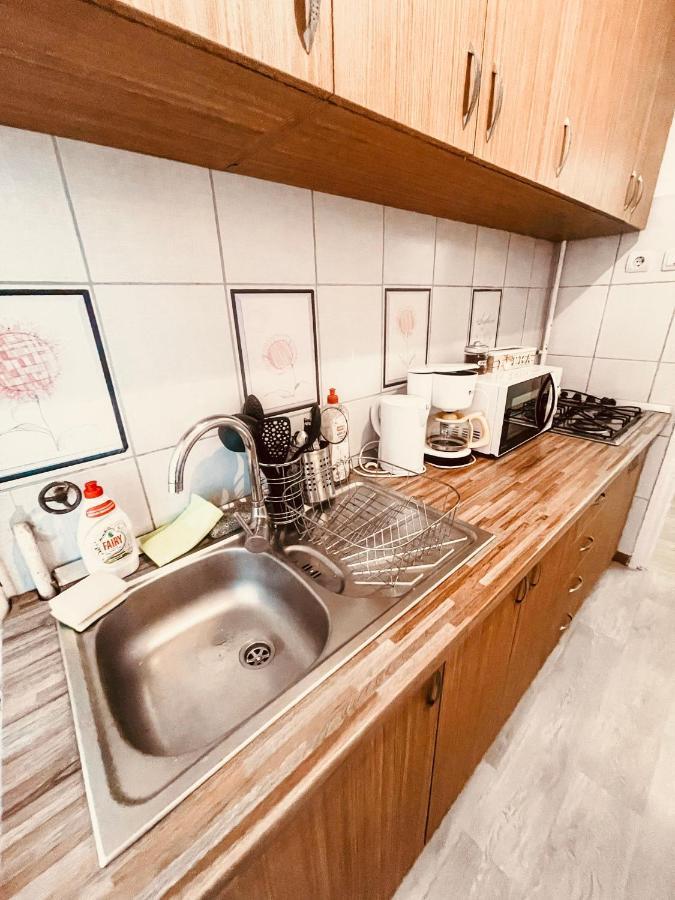 Ultracentral Big Apartment - Near The Opera Square P17 티미쇼아라 외부 사진
