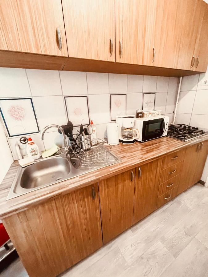 Ultracentral Big Apartment - Near The Opera Square P17 티미쇼아라 외부 사진