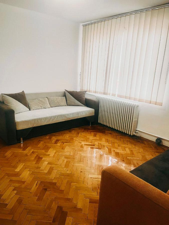 Ultracentral Big Apartment - Near The Opera Square P17 티미쇼아라 외부 사진